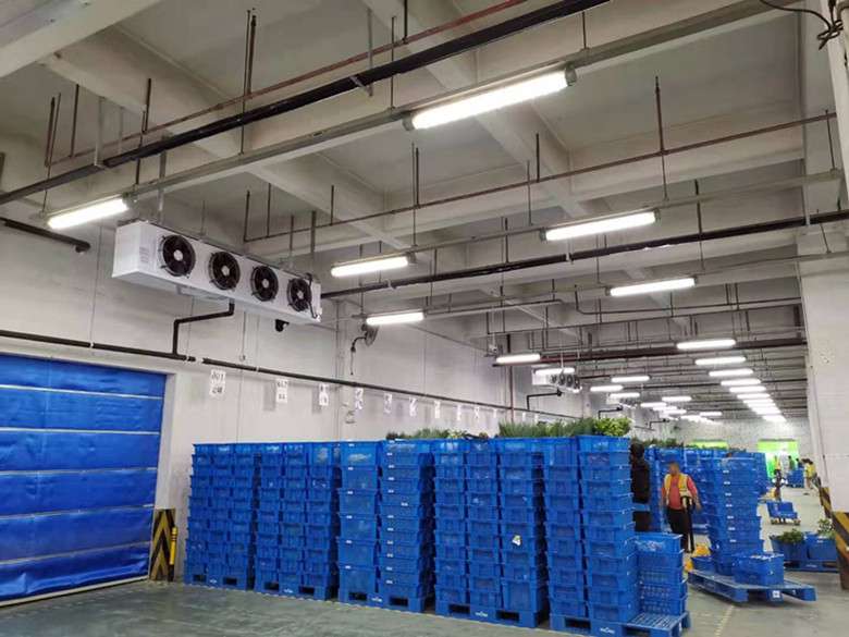 2400平廠房改建成生鮮冷藏庫應該如何來規劃設計？