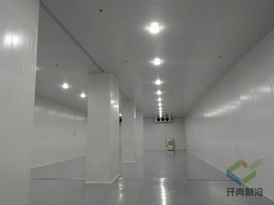 建設海鮮低溫冷凍庫安裝配置及價格是多少？