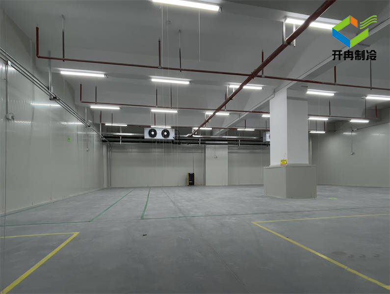 建造一個500平方氣調冷庫造價設計方案 建造一個500平方氣調冷庫造價設計方案