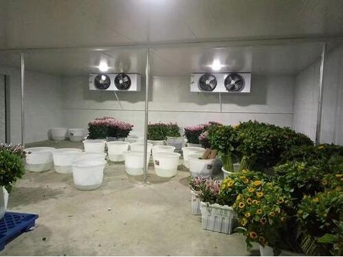 成都30立方小型鮮花保鮮冷庫工程案例