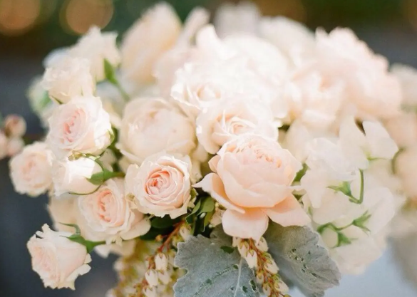 揭秘鮮花冷庫的保鮮奧秘,花束如何嬌艷不凋零?