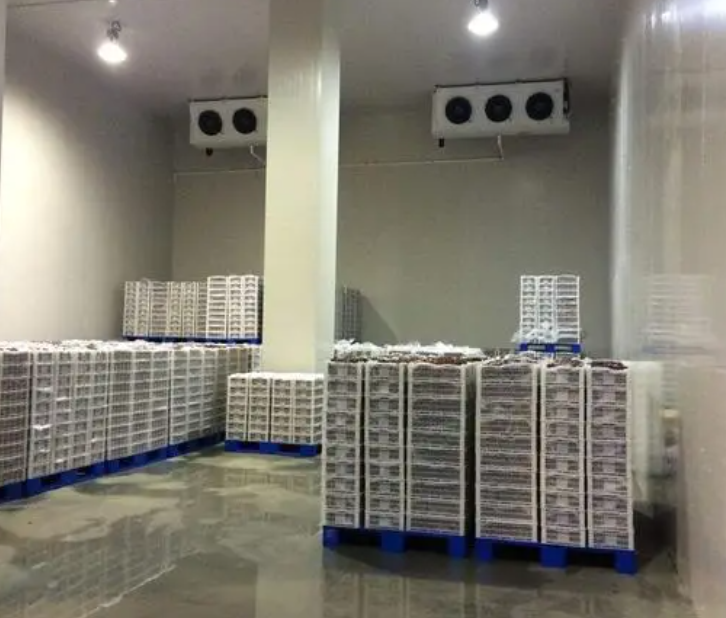 規范建造100平帶魚冷庫，為食品保鮮護航