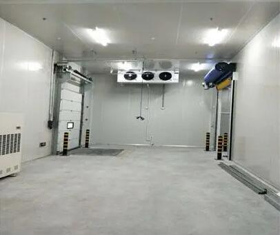 山東農(nóng)貿(mào)市場(chǎng)建一座100平方米冷庫造價(jià)估算-開冉制冷