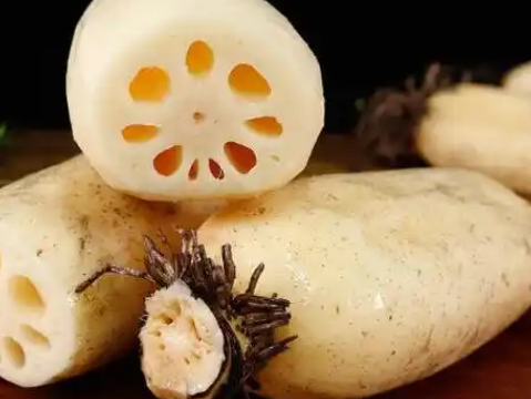 洪澤湖地區(qū)蓮藕冷庫設(shè)計要點:鎖住水鄉(xiāng)鮮韻