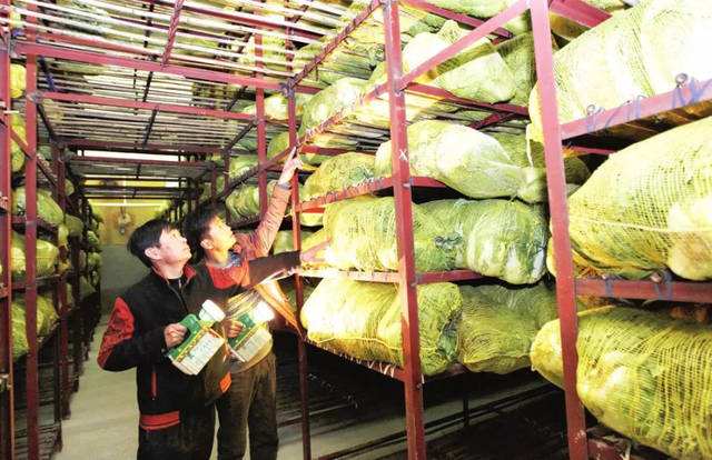 蔬菜冷庫能保鮮多久，造價是多少