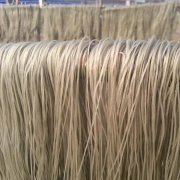 建造一個500噸粉絲冷庫造價多少？