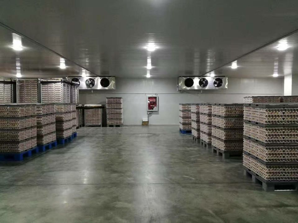 10000立方食品低溫冷庫 10000立方食品低溫冷庫