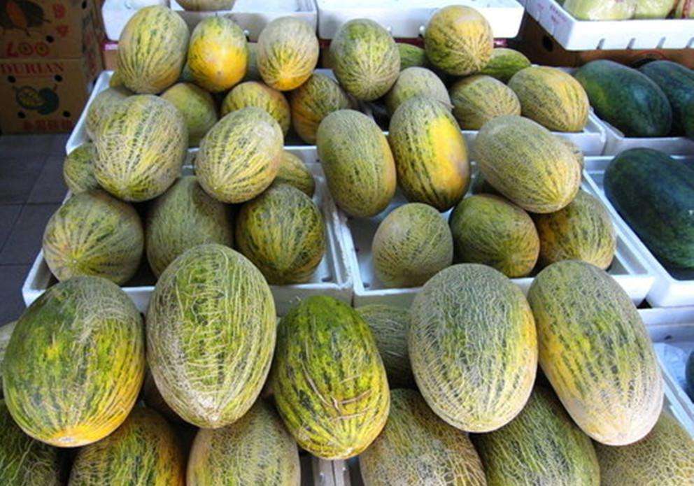 哈密瓜保鮮冷庫 哈密瓜保鮮冷庫