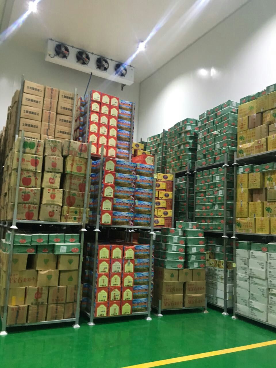 1000噸水果保鮮冷庫 1000噸水果保鮮冷庫