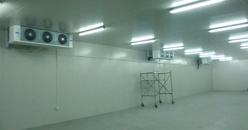 1500噸海鮮低溫冷庫(kù)設(shè)計(jì)規(guī)劃，冷庫(kù)價(jià)格多少錢