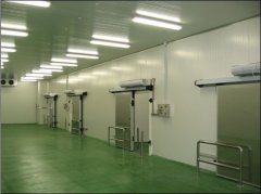 2500噸牛肉冷凍庫,冷庫價(jià)格及能耗