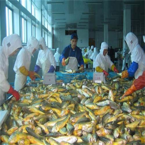 1582527266728677.jpg u=3792702781,3819813482&fm=26&gp=0.jpg