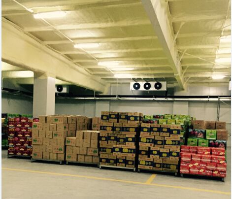 3000平米水果保鮮庫(kù)