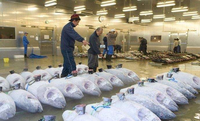 4000平高5米海鮮冷庫 4000平高5米海鮮冷庫