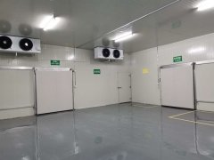 3000㎡醫(yī)藥物流冷庫(kù)(藥品冷鏈恒溫庫(kù))安裝價(jià)格多少錢一平米