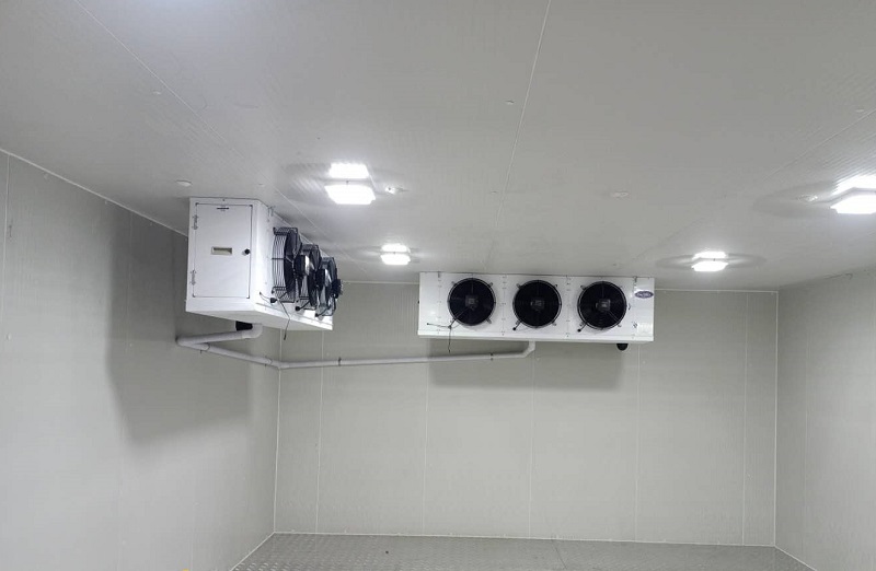 1619160021153769.jpg 1619160021153769.jpg