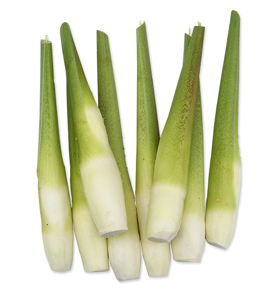 大型茭白保鮮庫(kù)安裝-上海開(kāi)冉冷庫(kù)