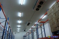 1300平冷庫多少錢，8000立方米冷庫造價