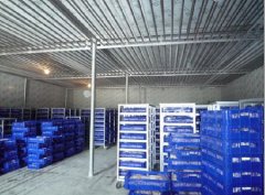 200噸葡萄保鮮庫建造，1000m3葡萄放冷庫可以放多久