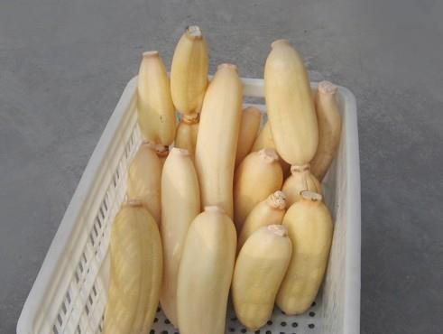 1500立方蓮藕冷庫建造，蓮藕保鮮庫造價怎么算