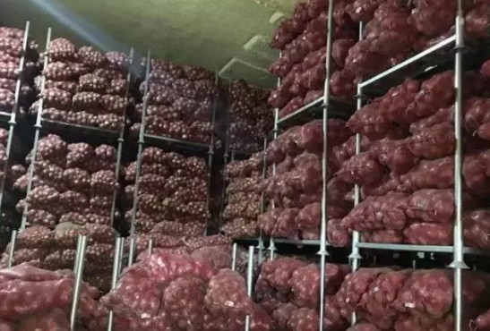 洋蔥在冷庫存儲多久，洋蔥冷藏庫安裝設計及造價