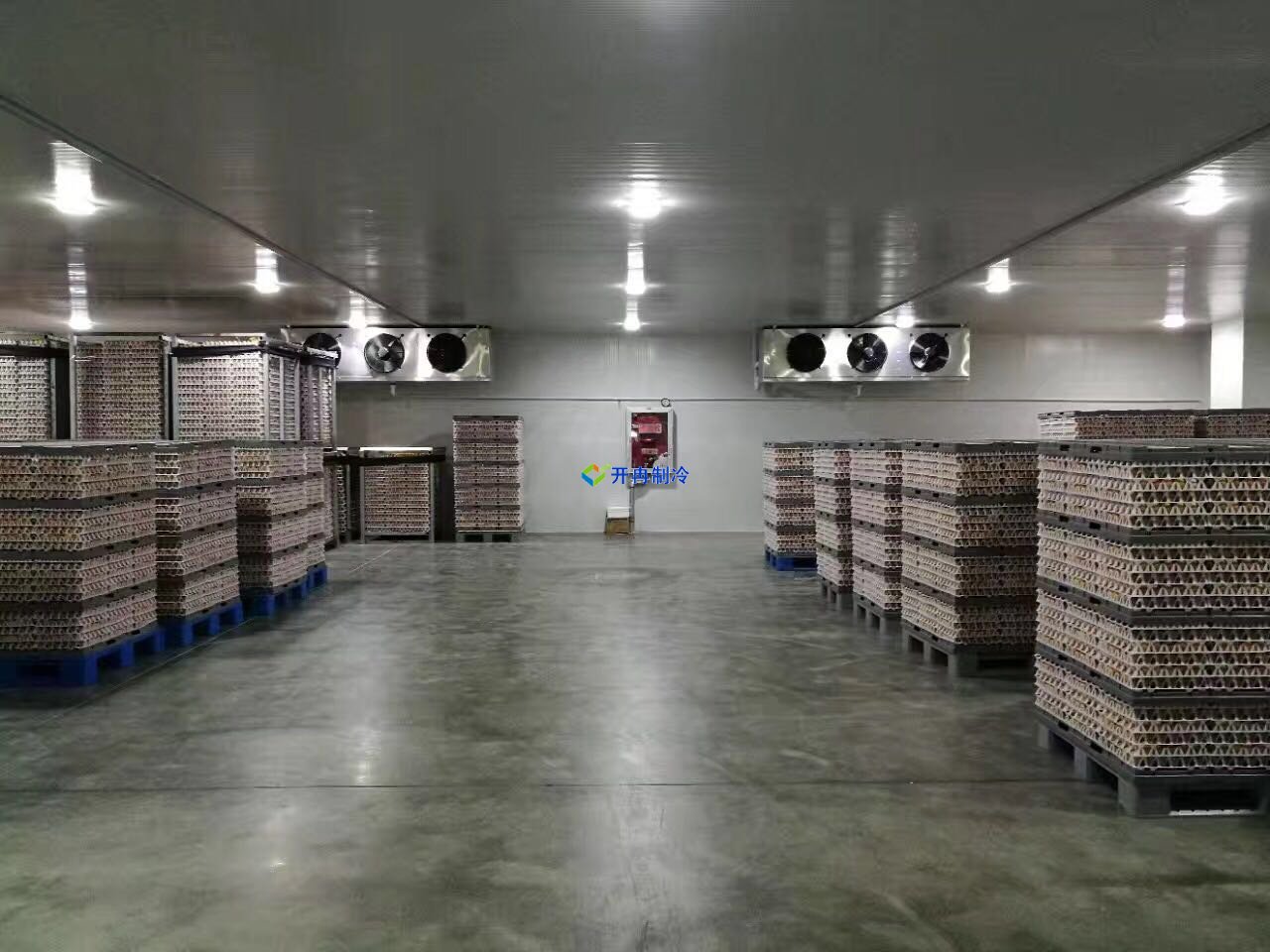 葡萄保鮮庫建造及設(shè)計(jì)造價(jià),葡萄冷庫儲(chǔ)存方法