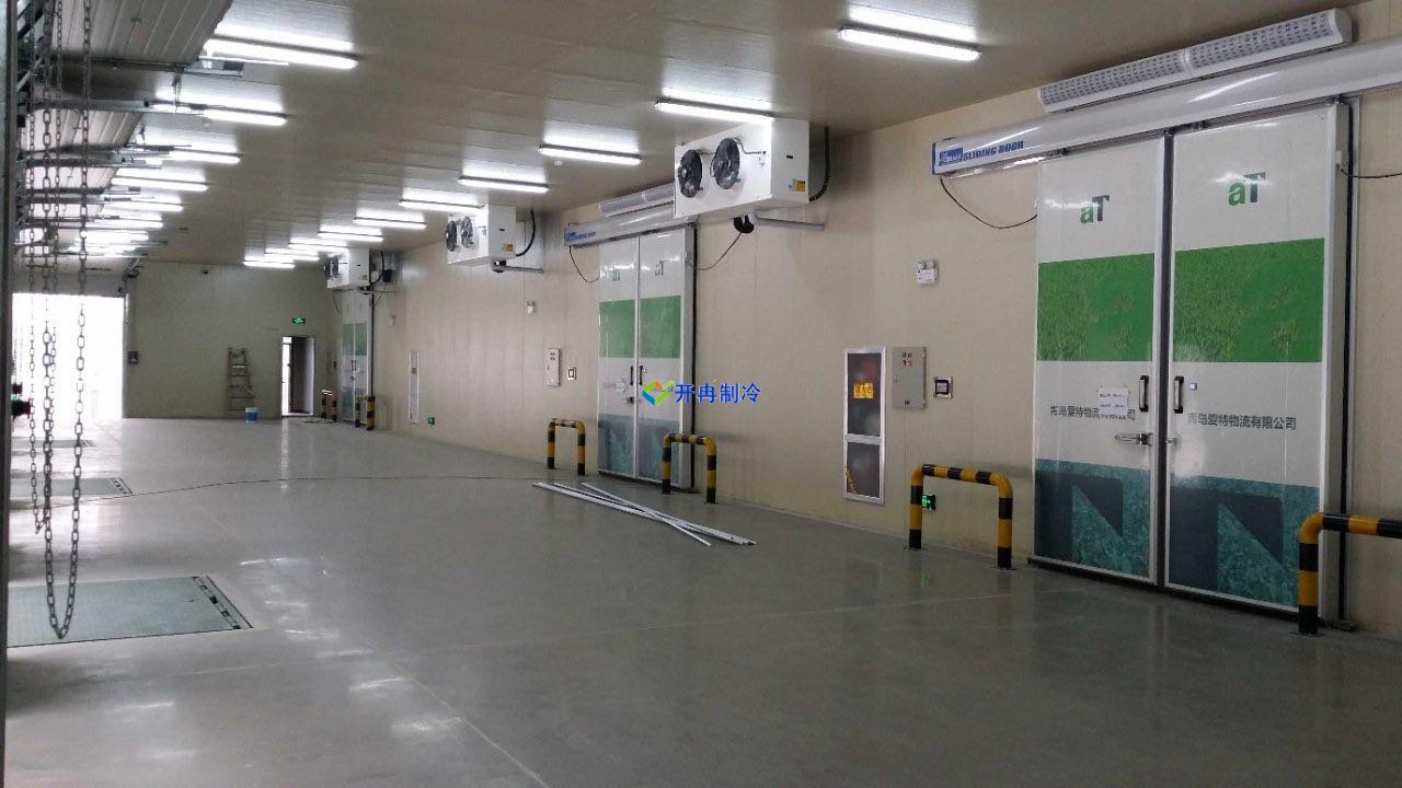 萬平冷凍庫建設(shè)規(guī)劃，冷庫建造建議
