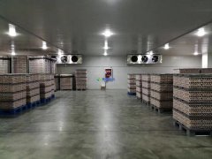存儲食品冷藏庫設計建造多少錢一平米？保鮮冷藏庫設計