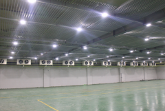 3000平米食品肉類冷凍庫常溫倉庫改造費用多少？