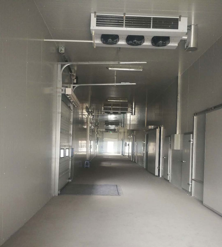 -25℃低溫海鮮魚肉加工廠冷凍庫安裝設計標準費用多少？